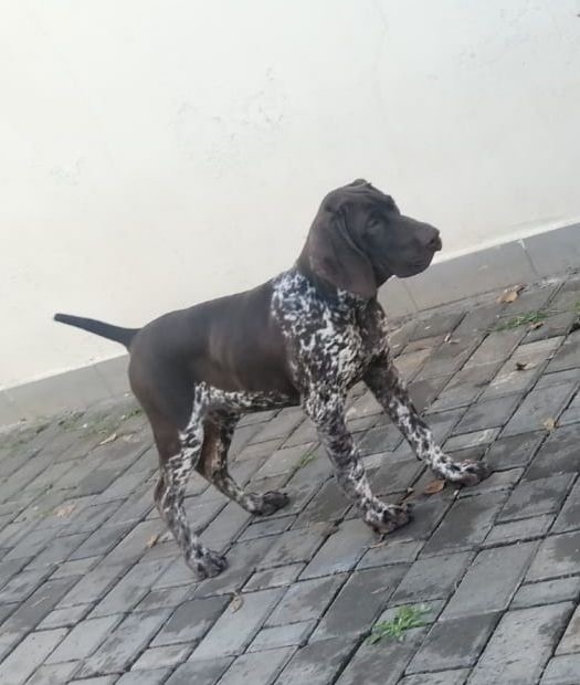 Taliy Des Sources D'asni